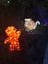 Hunter Valley Christmas Lights Spectacular 2019 Image -5e9b6f84b5fbd